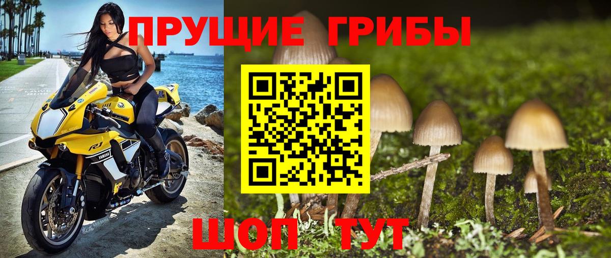 Псилоцибиновые грибы мицелий  Вход с VPN  Коряжма 
