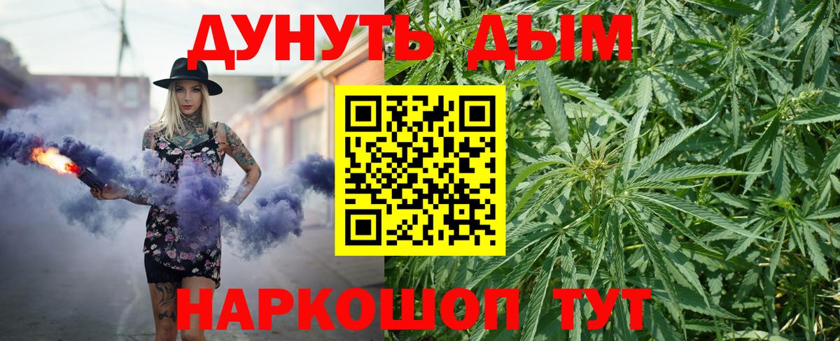 Канабис гибрид Коряжма